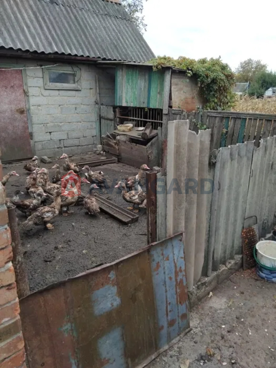 �������, 75 ��.�. ���� 17