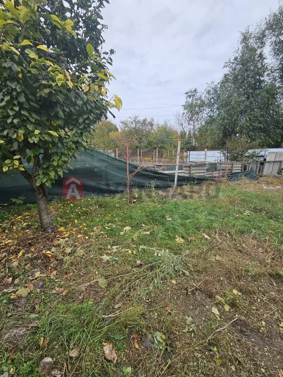 �������, 57 ��.�. ���� 10