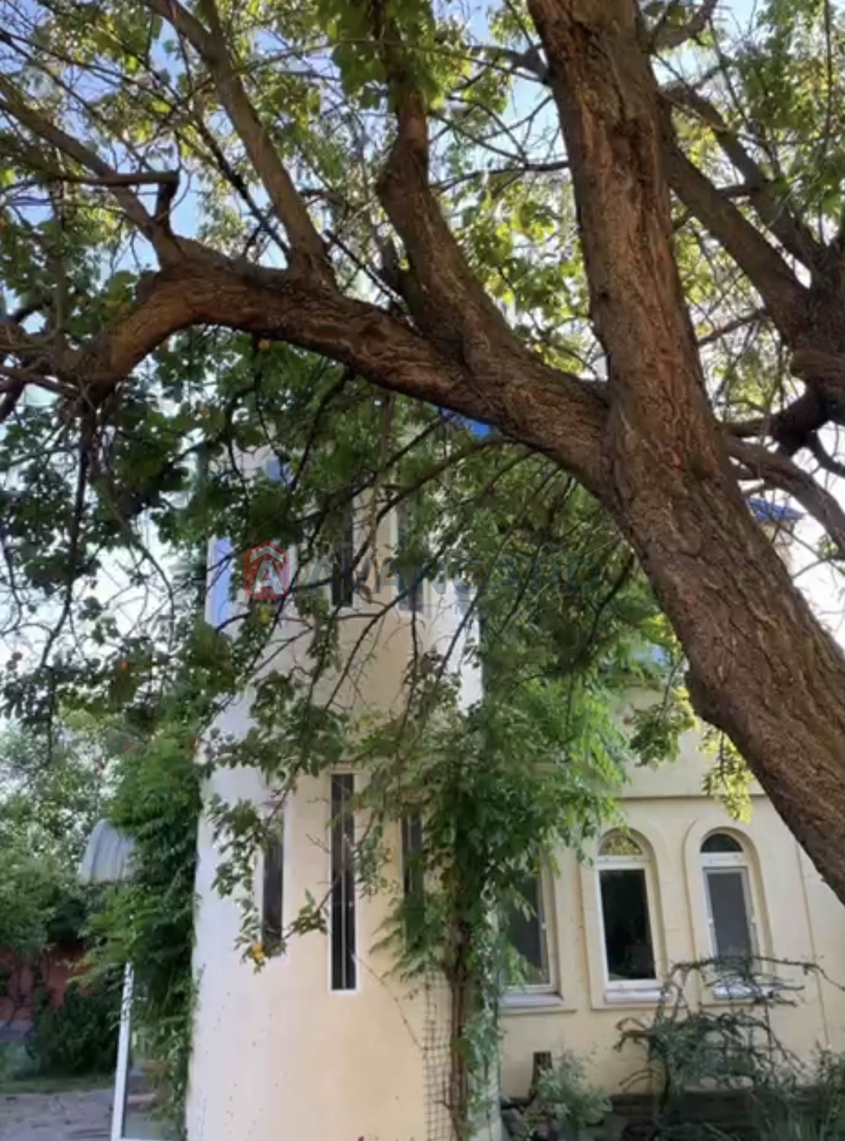 ����, 350 ��.�. ���� 25