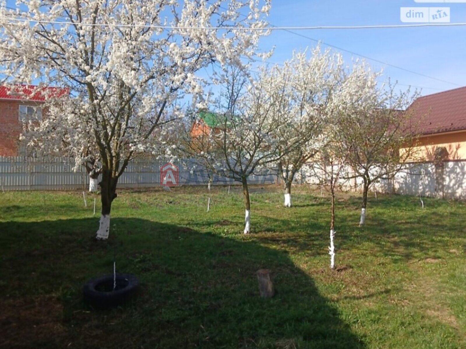 �������, 231 ��.�. ���� 4