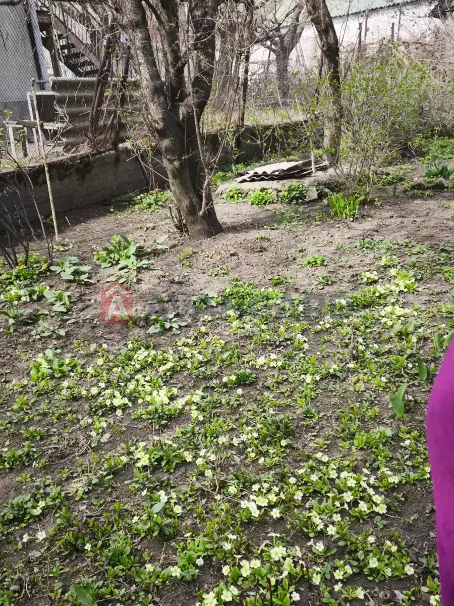 �������, 64 ��.�. ���� 9