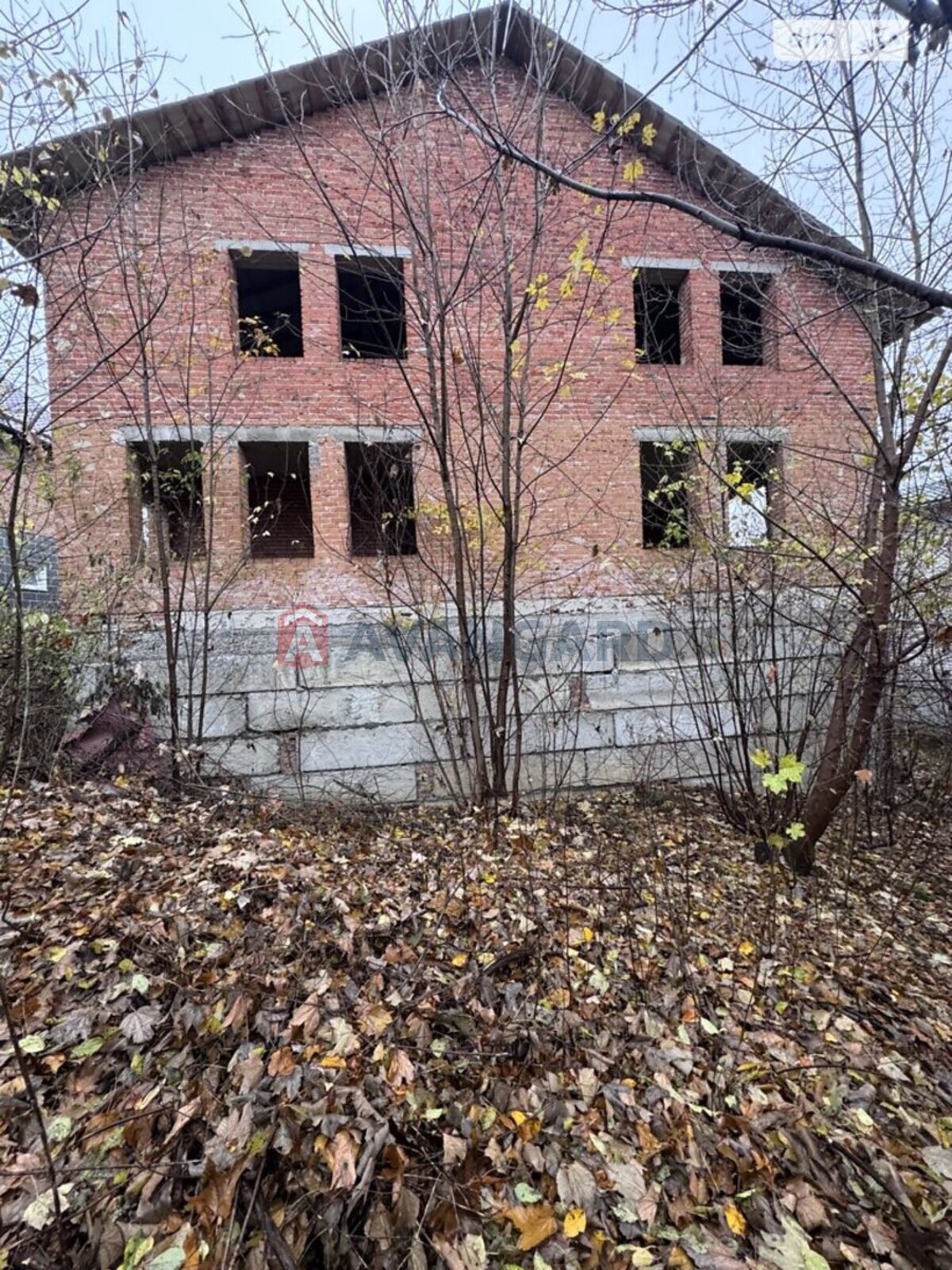 250 ��.�. ���� 14