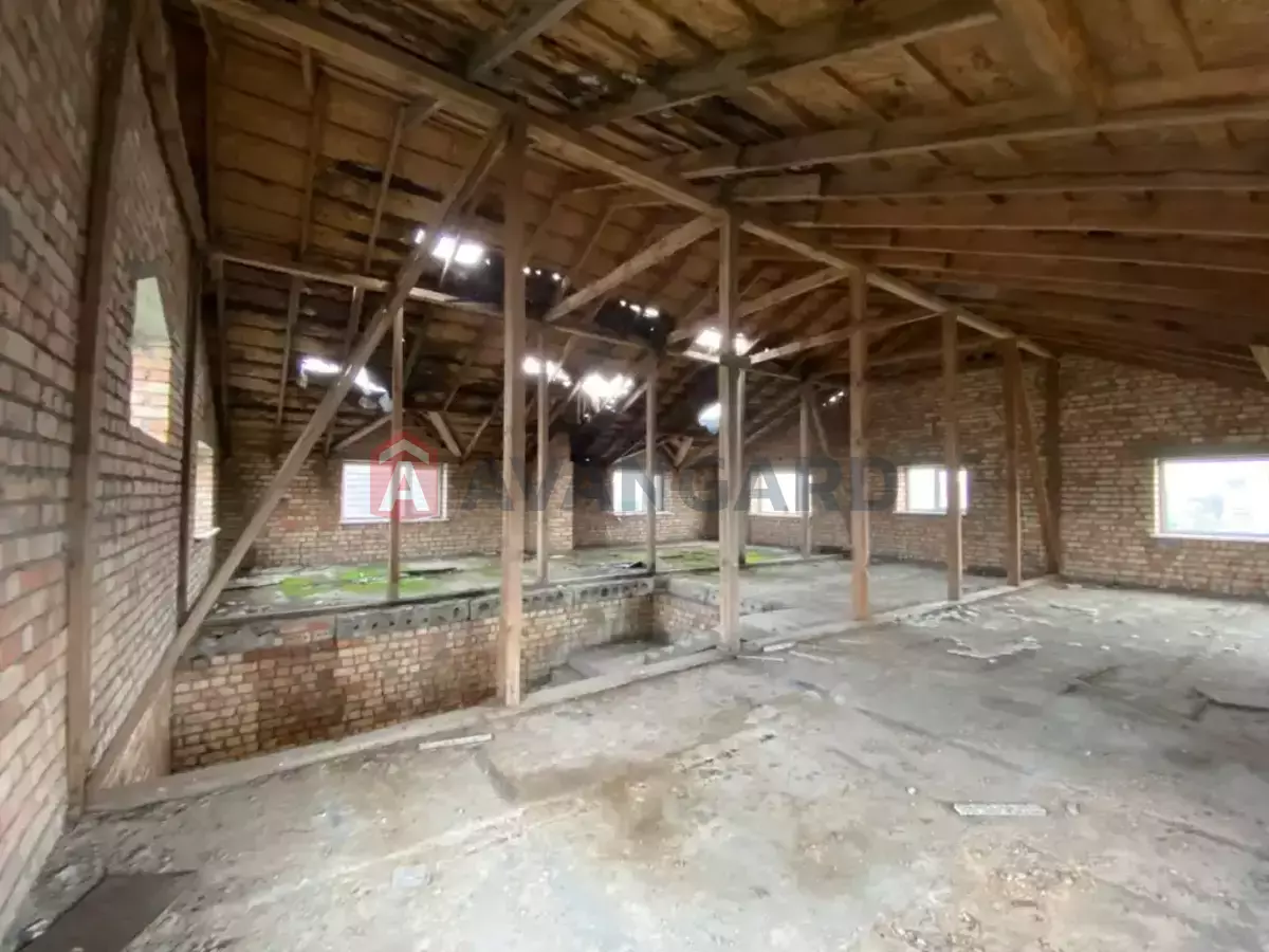 �������, 280 ��.�. ���� 11