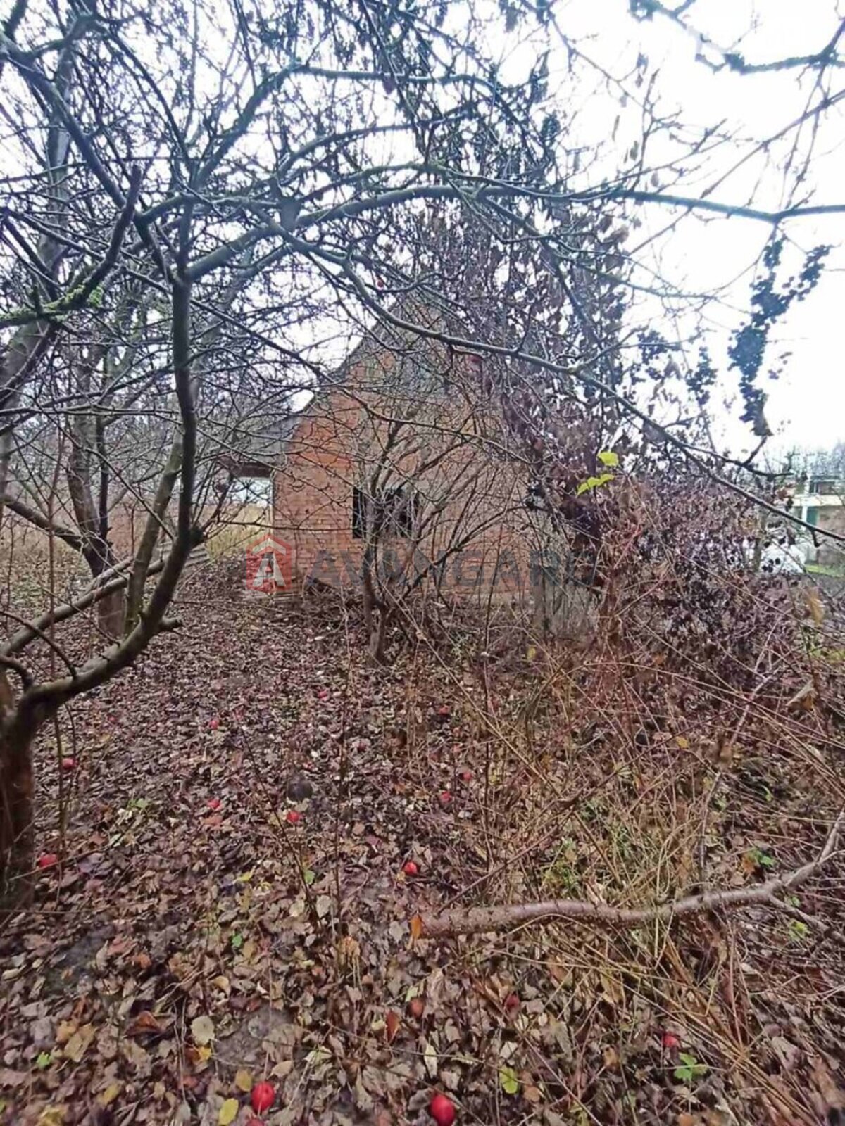 �������, 280 ��.�. ���� 16