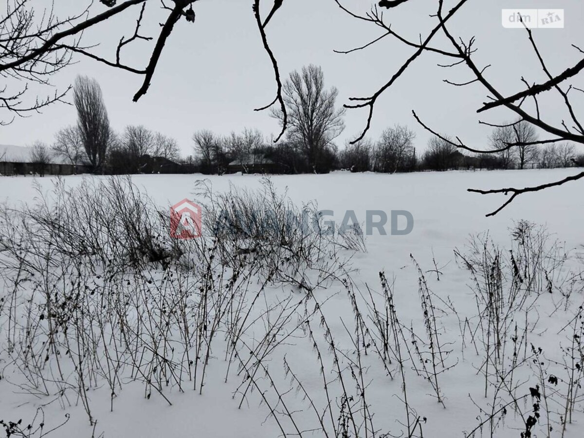 �������, 40 ��.�. ���� 20