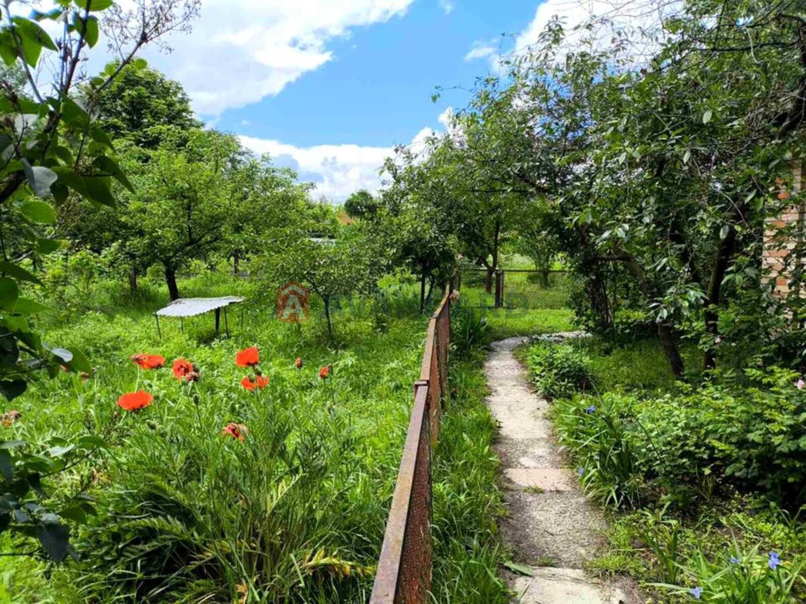 �������, 61 ��.�. ���� 17