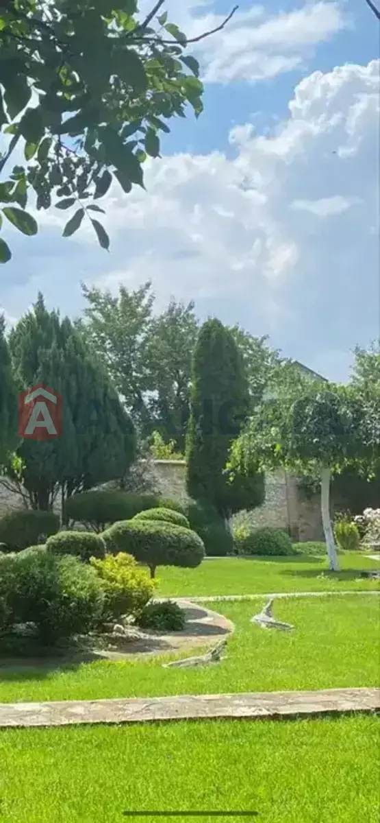 ����, 90 ��.�. ���� 20