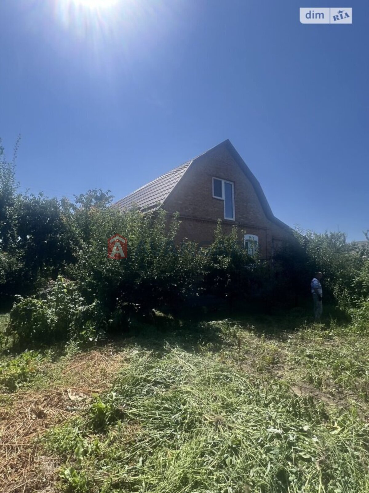 �������, 120 ��.�. ���� 21