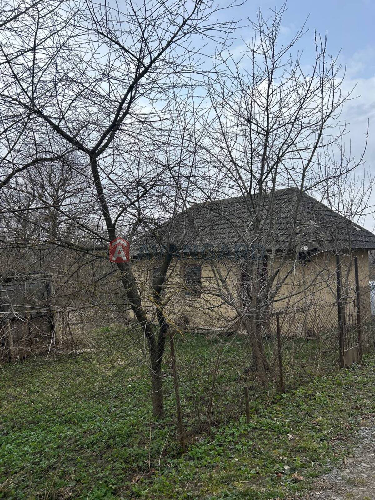 �������, 45 ��.�. ���� 7