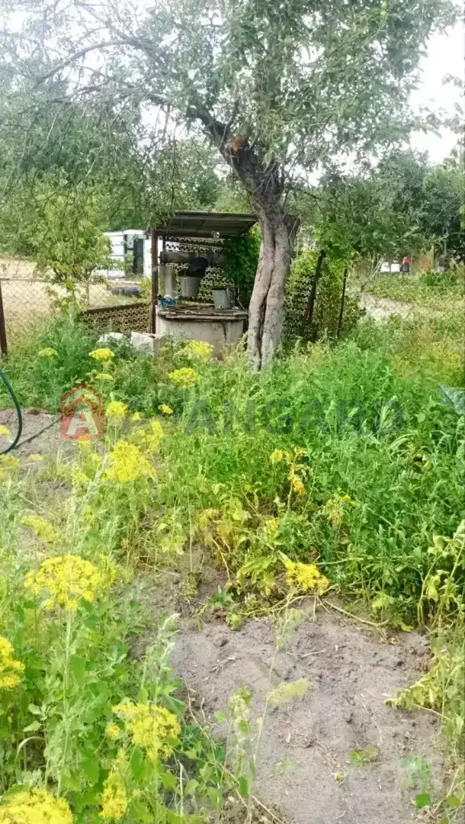 �������, 56 ��.�. ���� 6