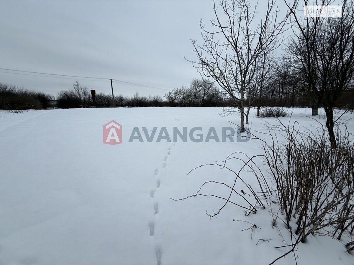 �������, 115 ��.�. ���� 16