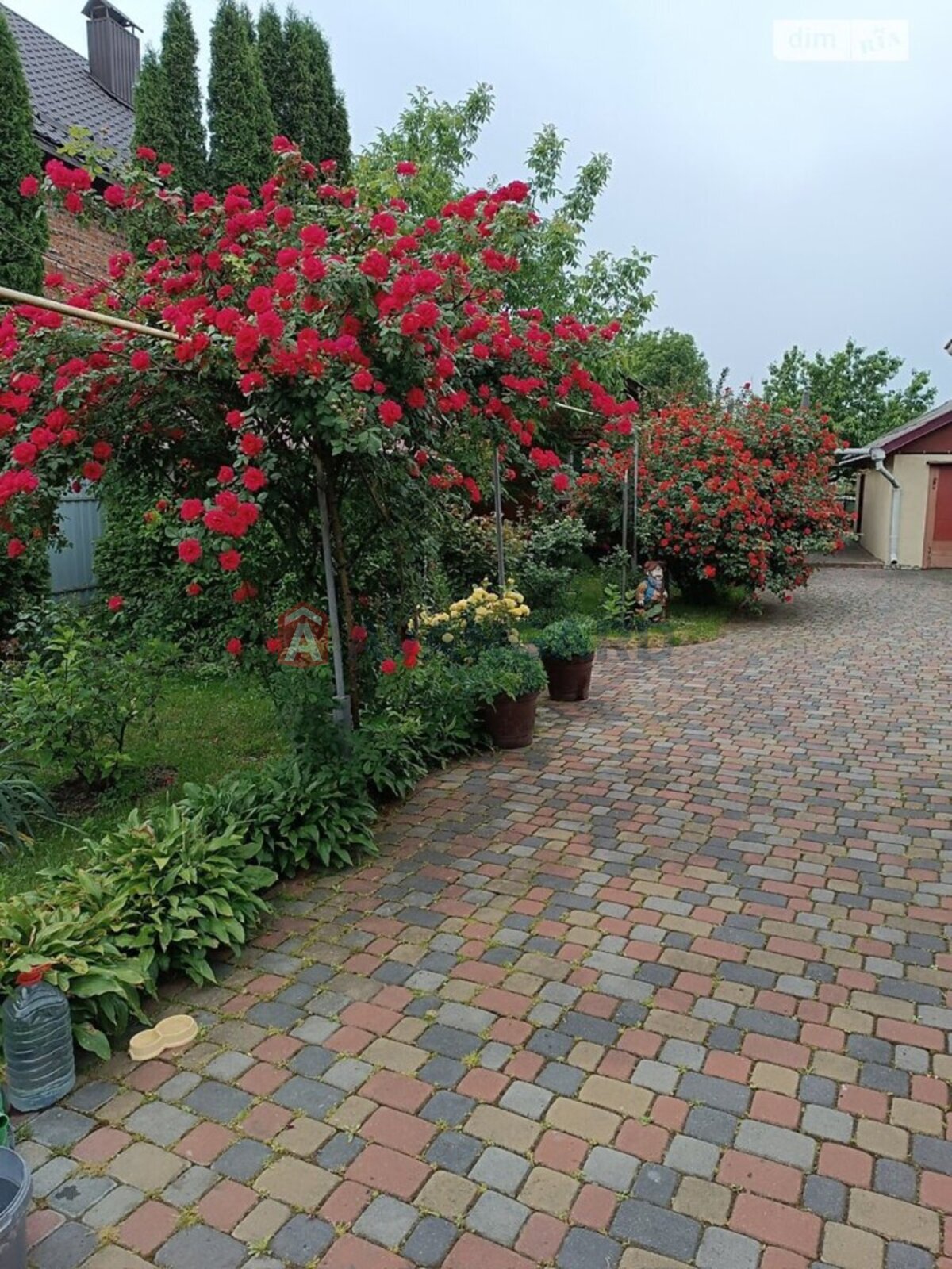 ���, 84 ��.�. ���� 15