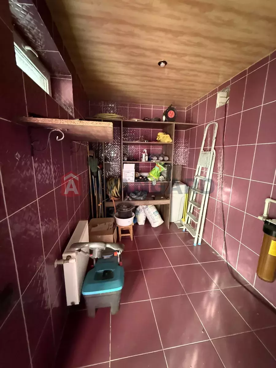 �������, 114 ��.�. ���� 10