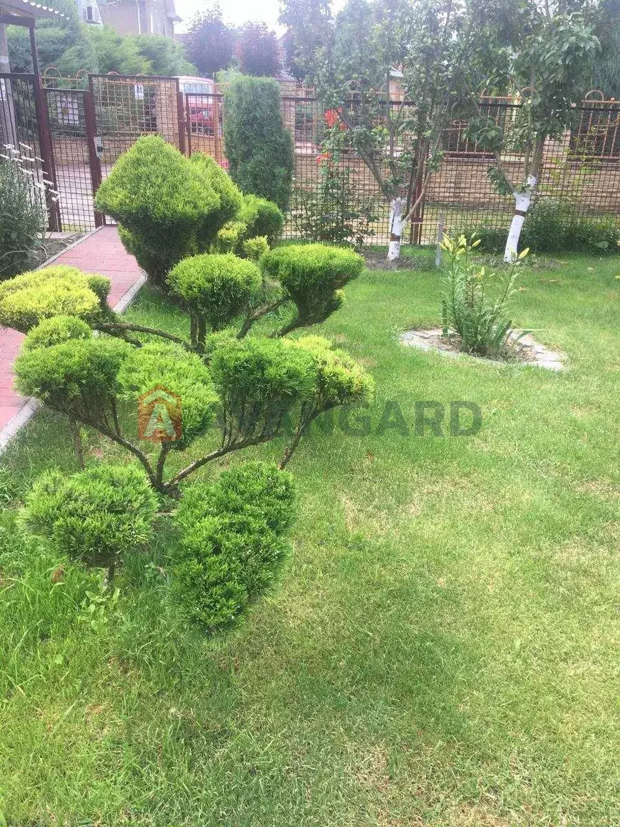 ����, 80 ��.�. ���� 5