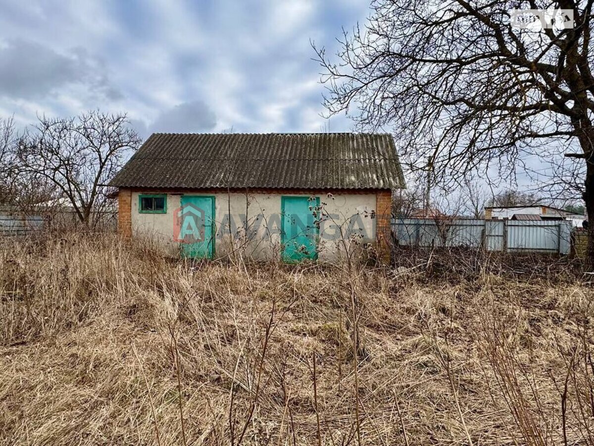 �������, 48 ��.�. ���� 5