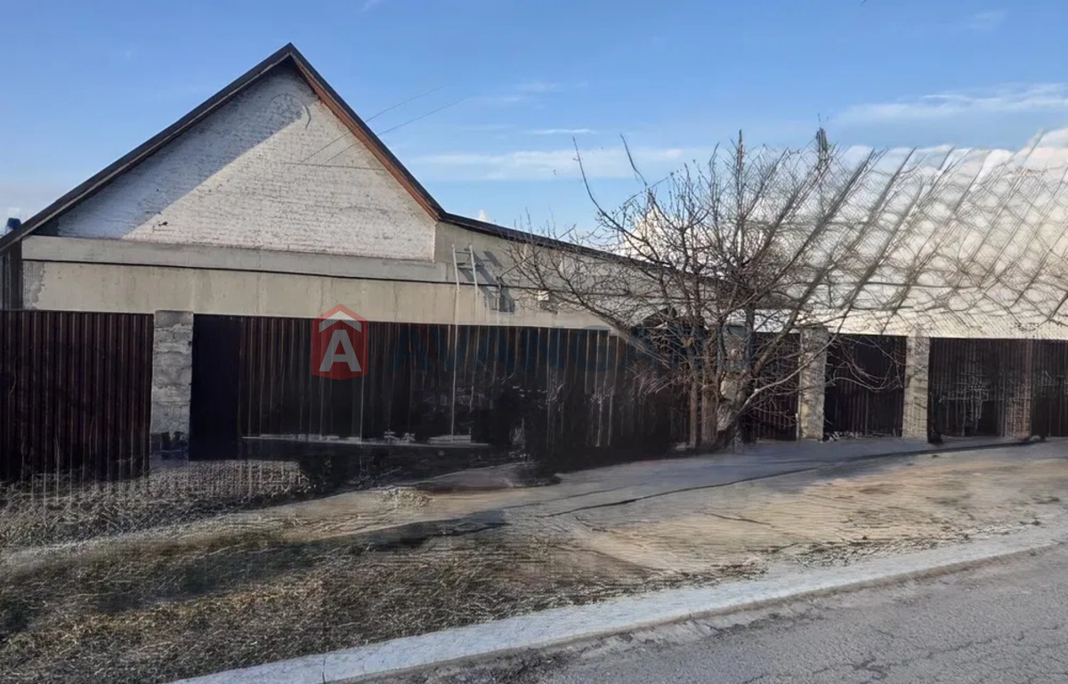 �������, 80 ��.�. ���� 14