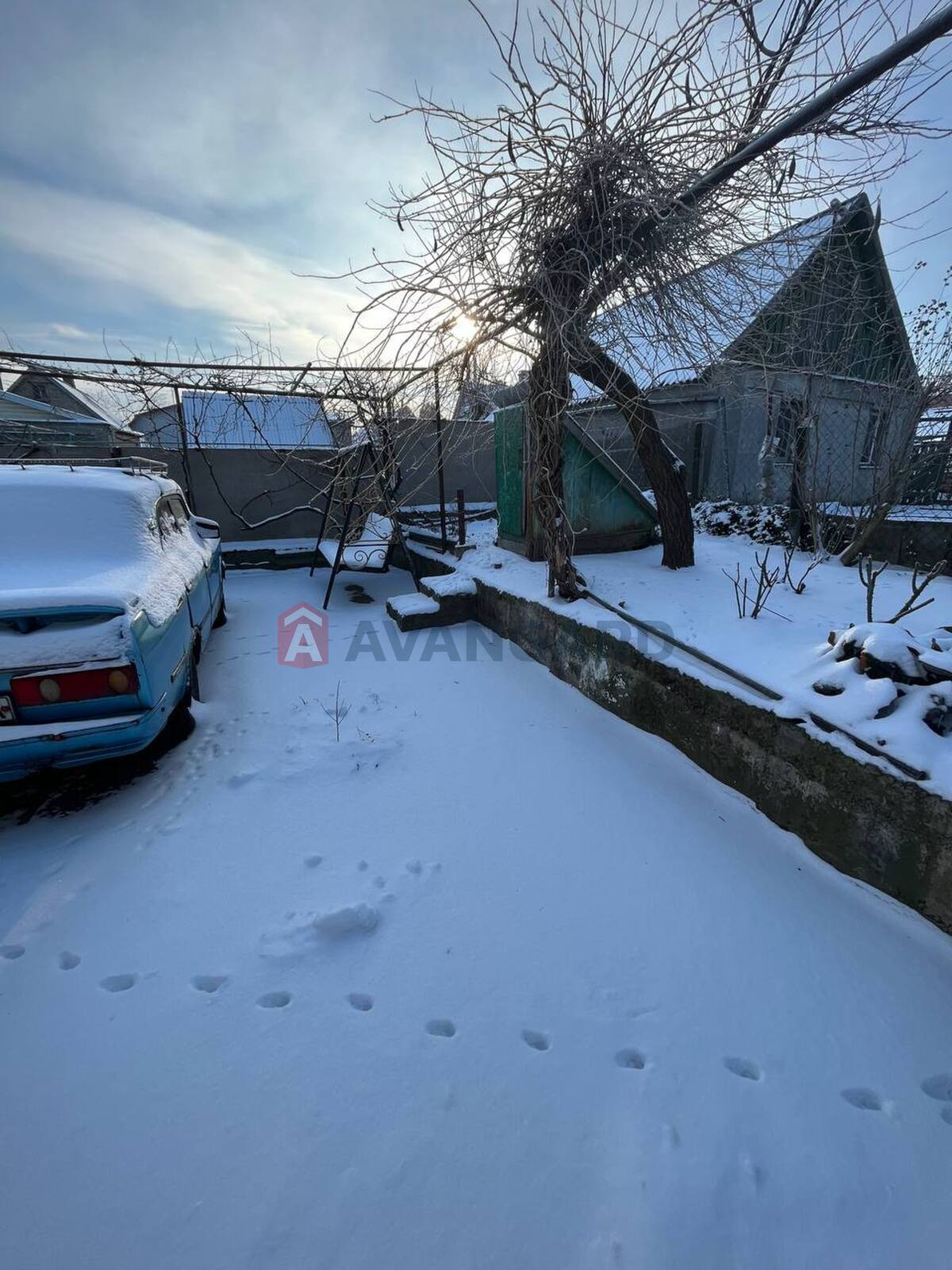 �������, 85 ��.�. ���� 20