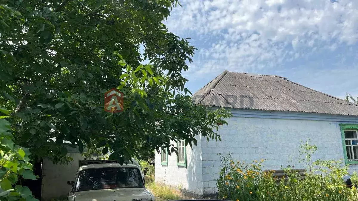 �������, 65 ��.�. ���� 4