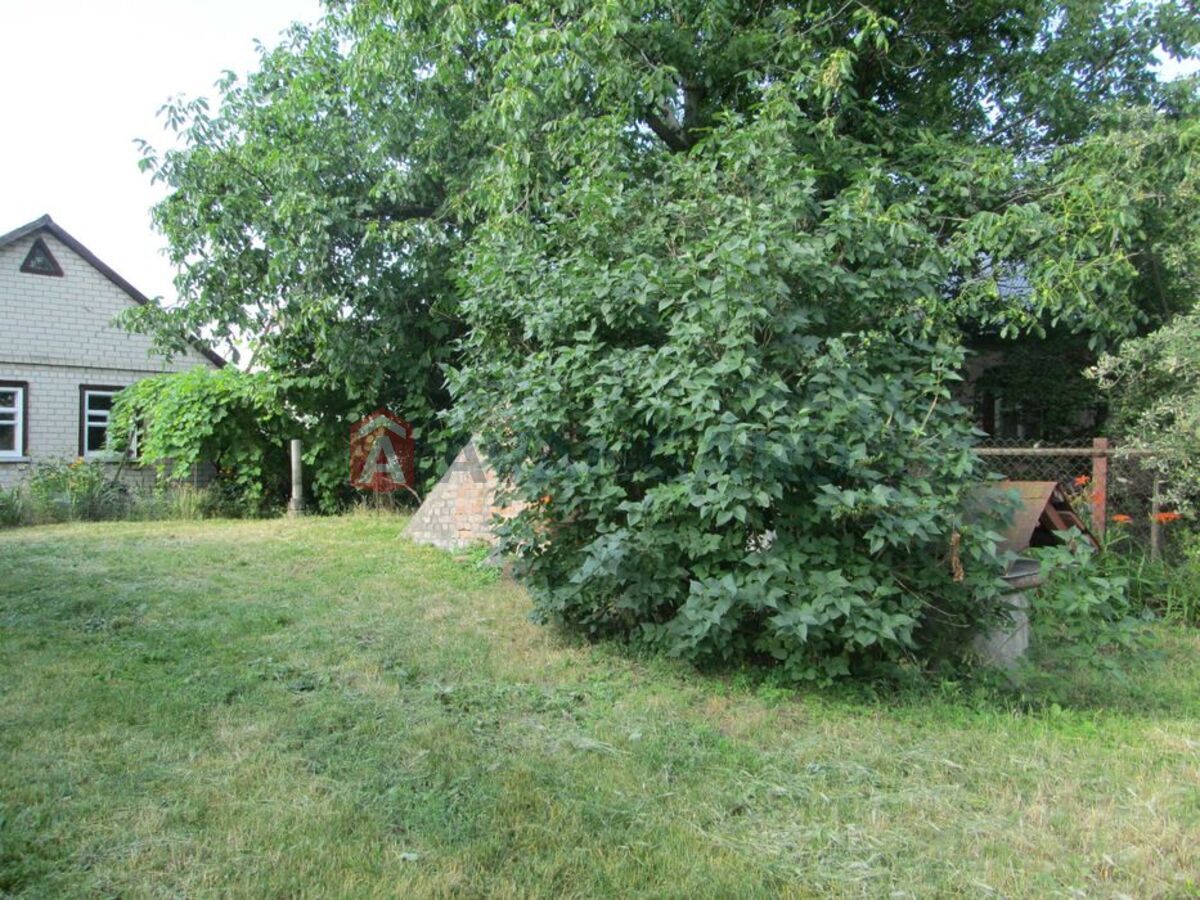 �������, 63 ��.�. ���� 3