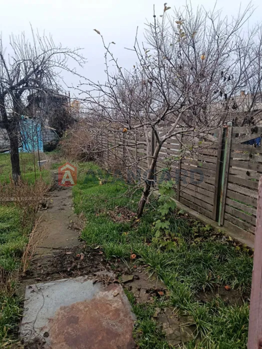 �������, 67 ��.�. ���� 7