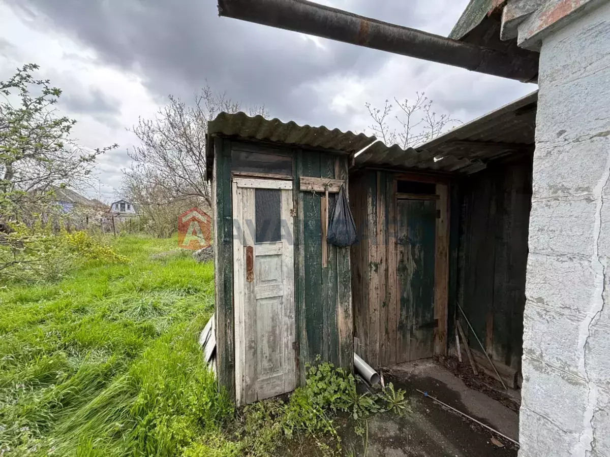 �������, 50 ��.�. ���� 12