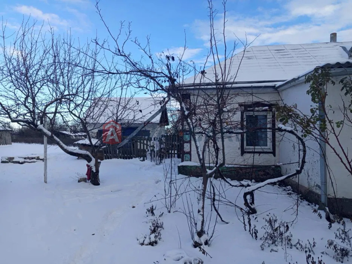 �������, 48 ��.�. ���� 2