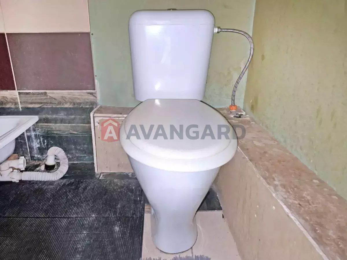 �������, 44 ��.�. ���� 6