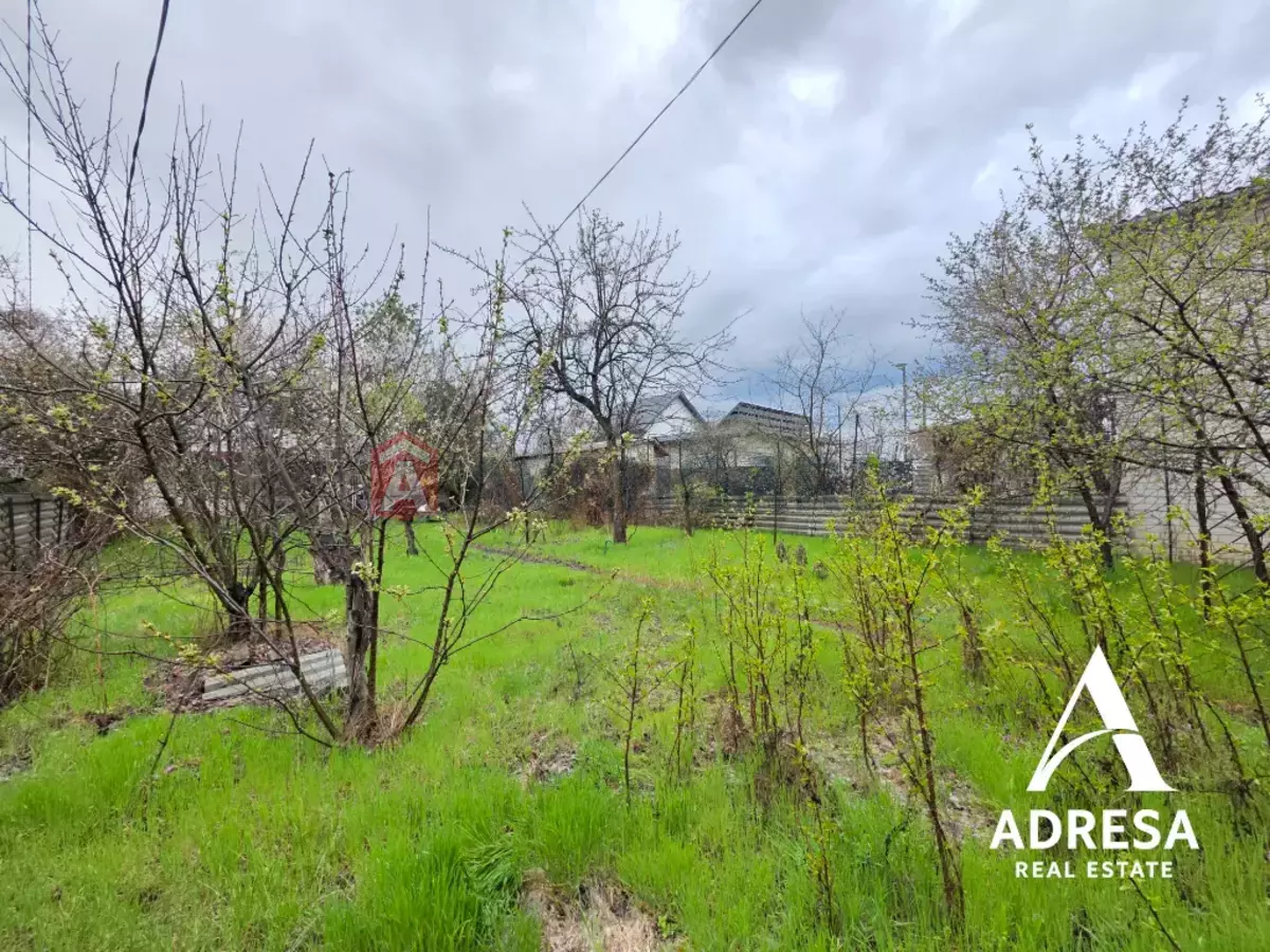 ����, 60 ��.�. ���� 14