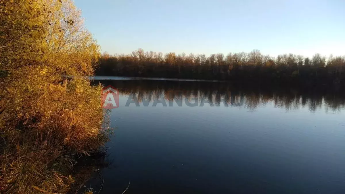 ����, 116 ��.�. ���� 4