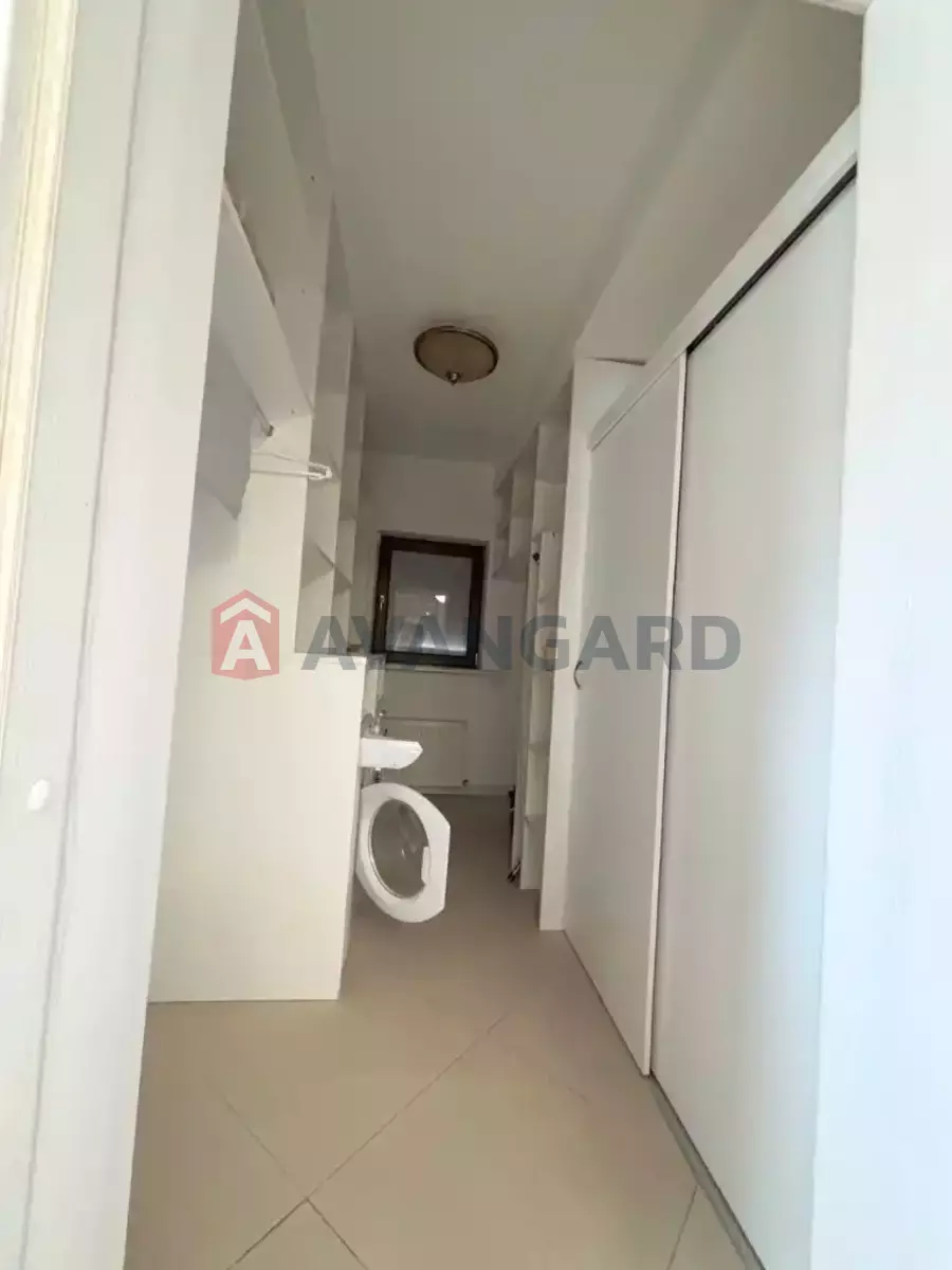 �������, 229 ��.�. ���� 12