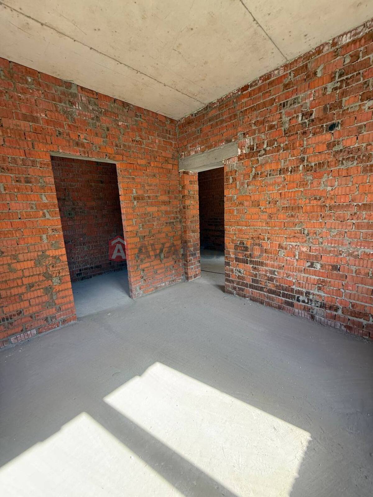 �������, 217 ��.�. ���� 13