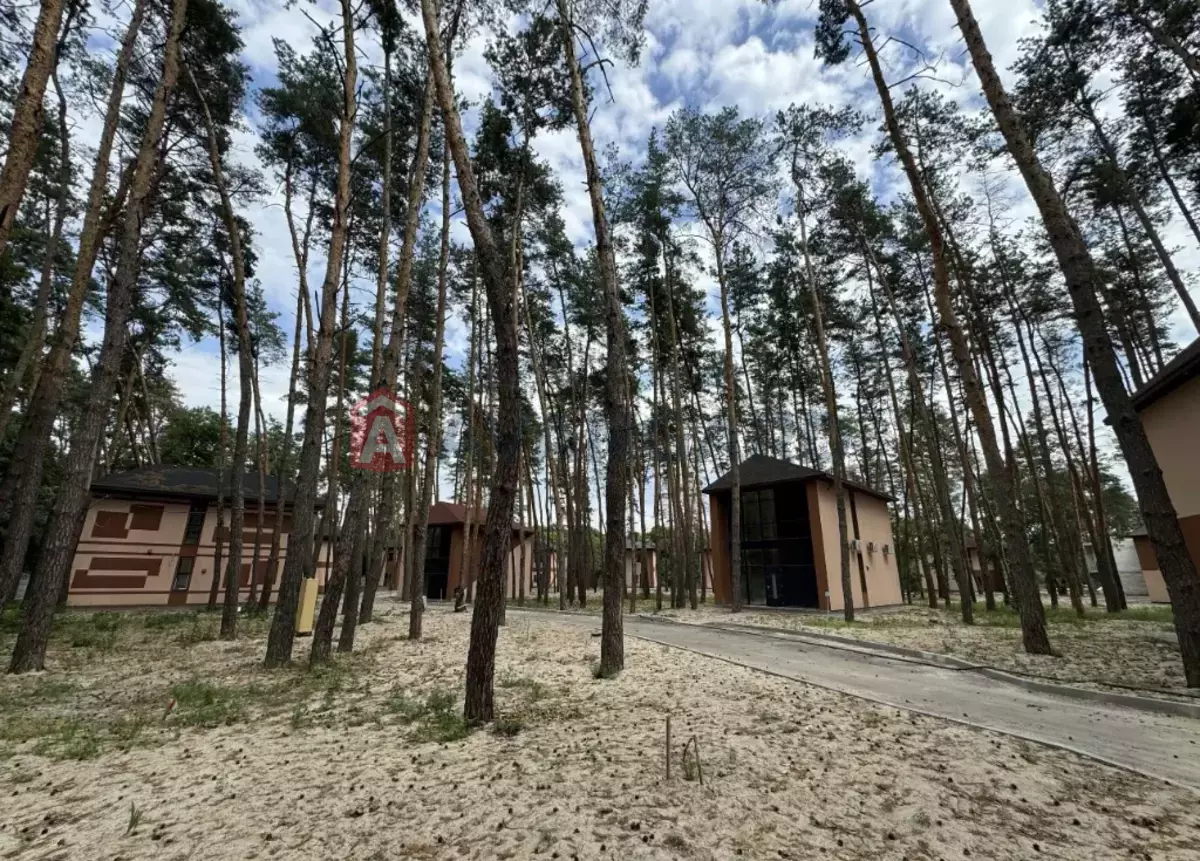 �������, 105 ��.�. ���� 5