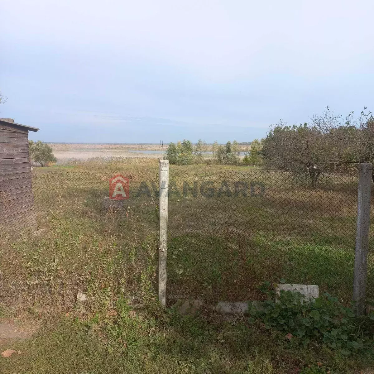 �������, 58 ��.�. ���� 12