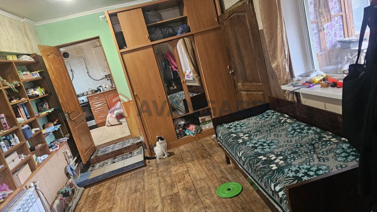 �������, 49 ��.�. ���� 7