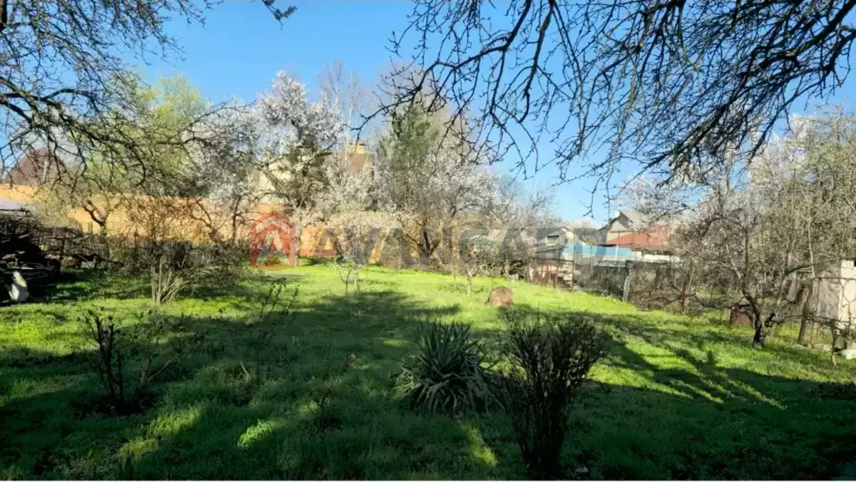 �������, 46 ��.�. ���� 15