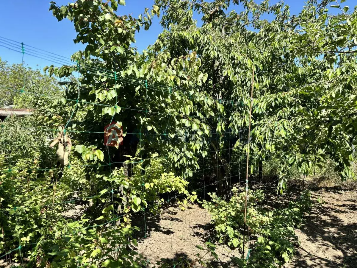 25 ��.�. ���� 5