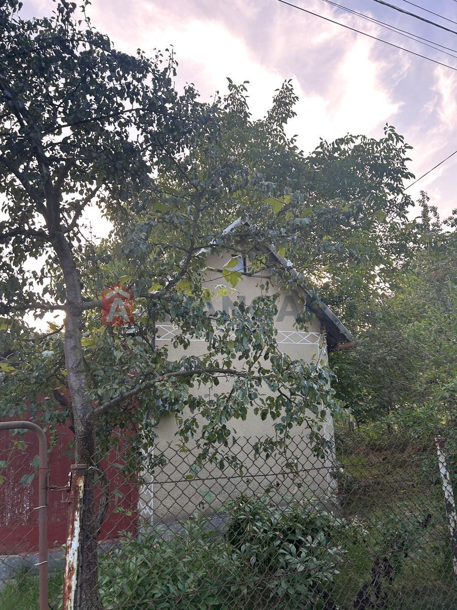 ����, 30 ��.�. ���� 5