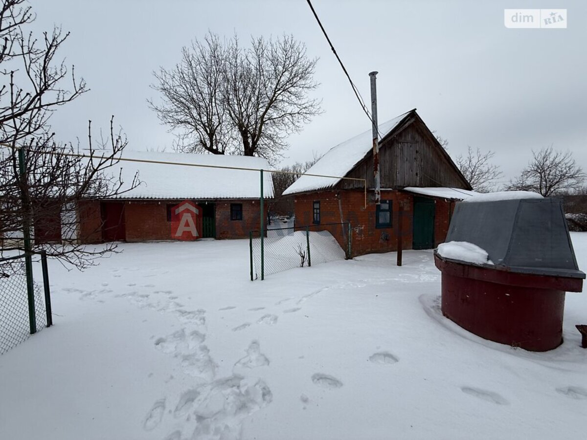 �������, 115 ��.�. ���� 1