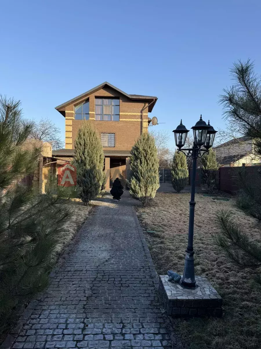 �������, 114 ��.�. ���� 20