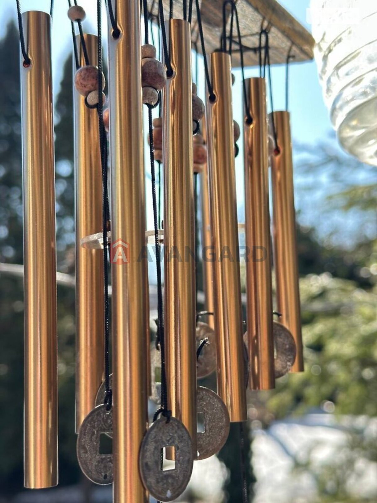 ������� �������, 65 ��.�. ���� 29