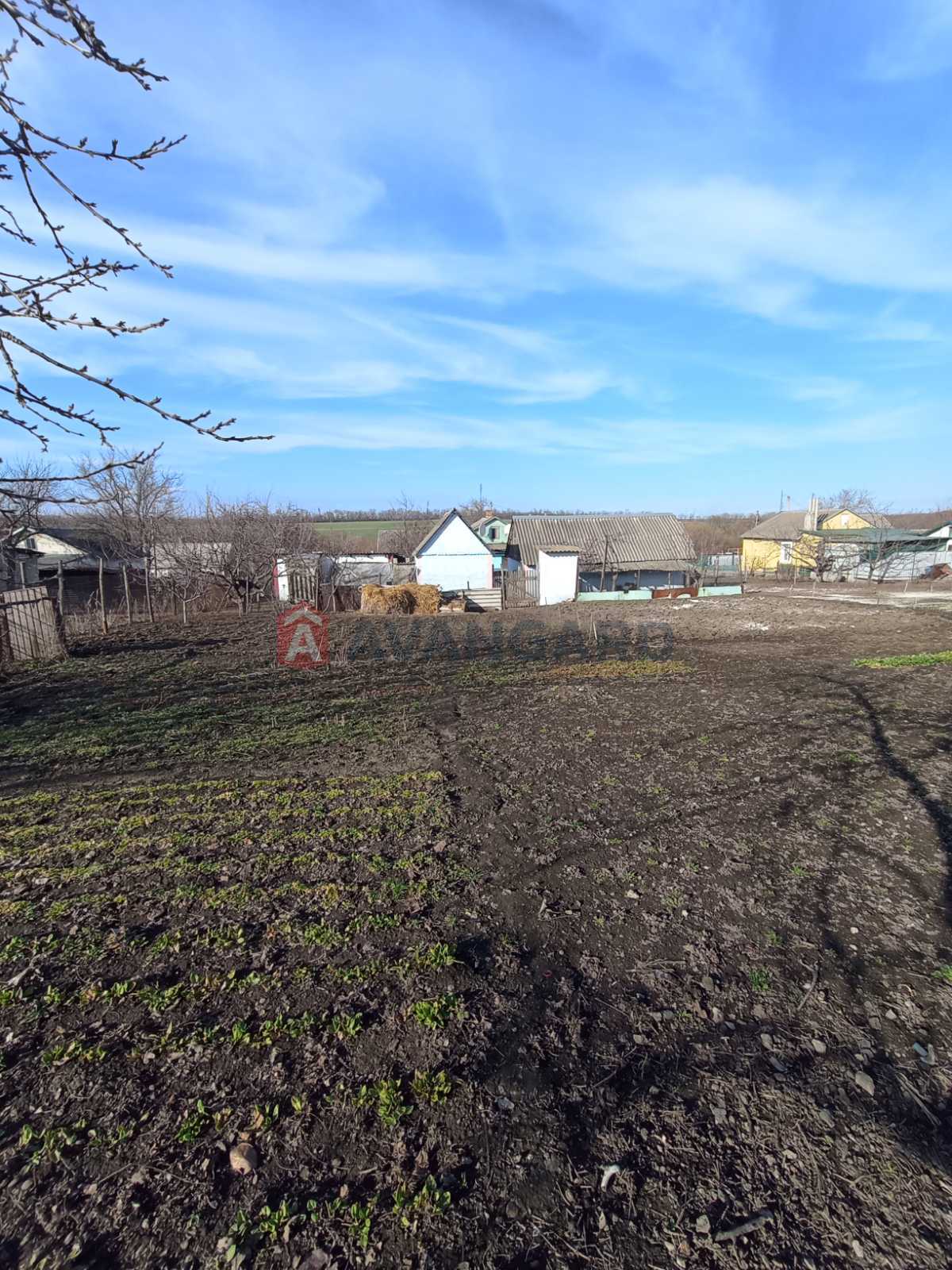 �������, 64 ��.�. ���� 15