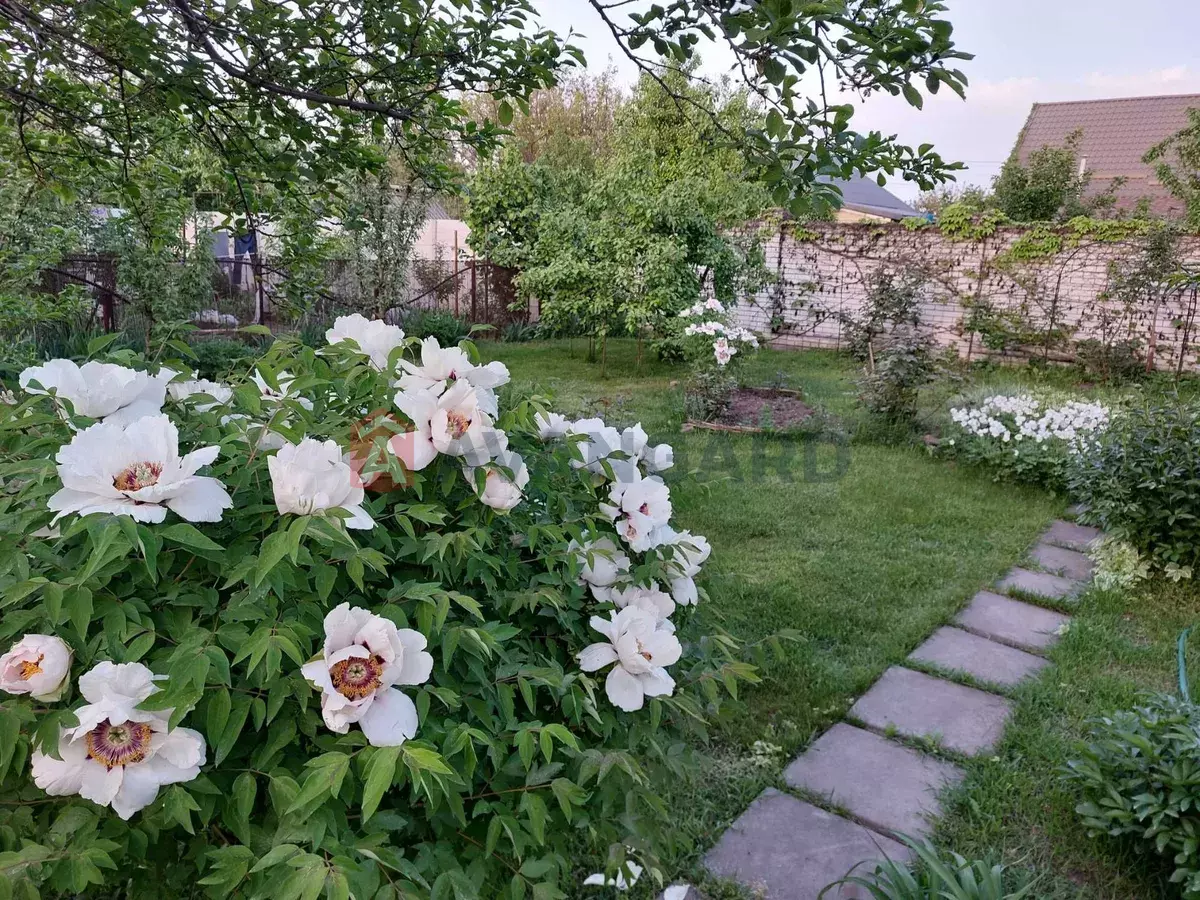 �������, 71 ��.�. ���� 11