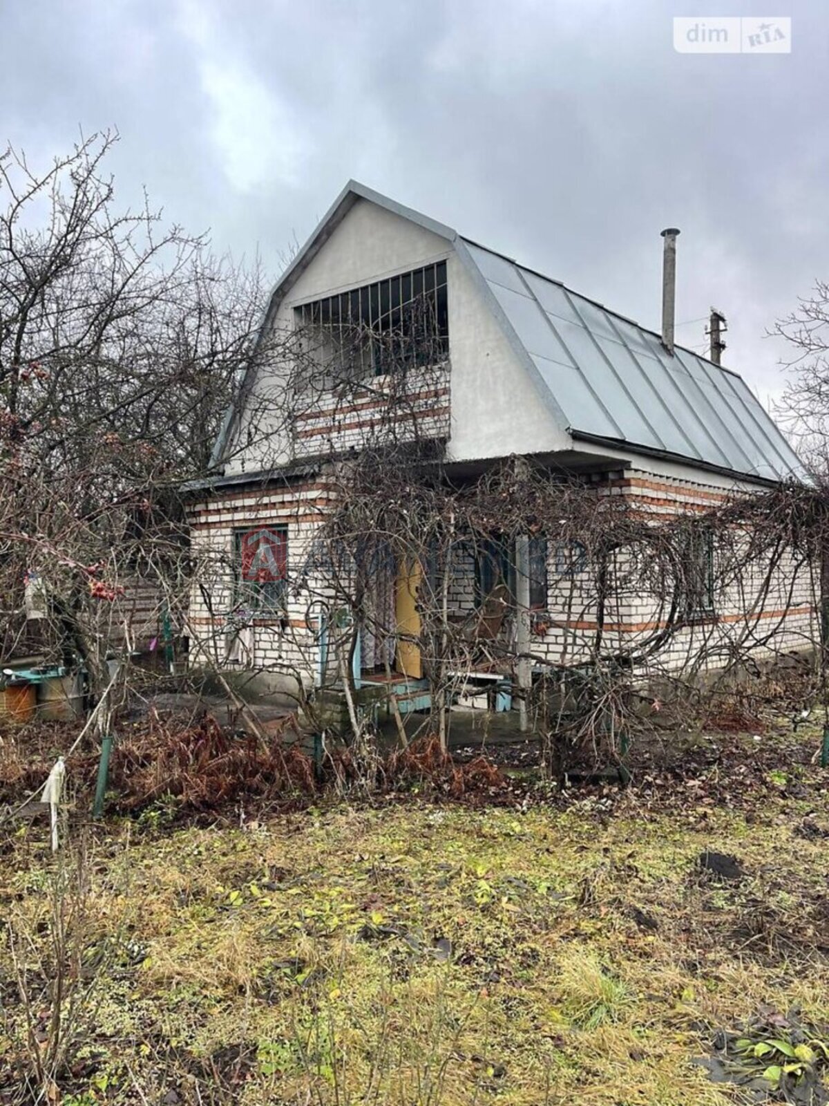 �������, 49 ��.�. ���� 3