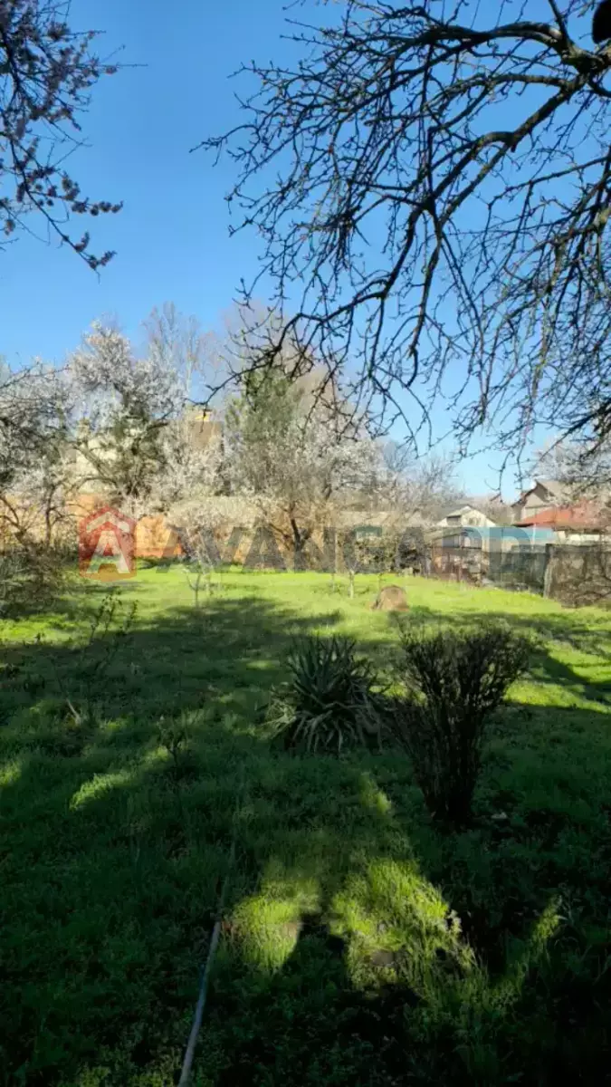 �������, 46 ��.�. ���� 4