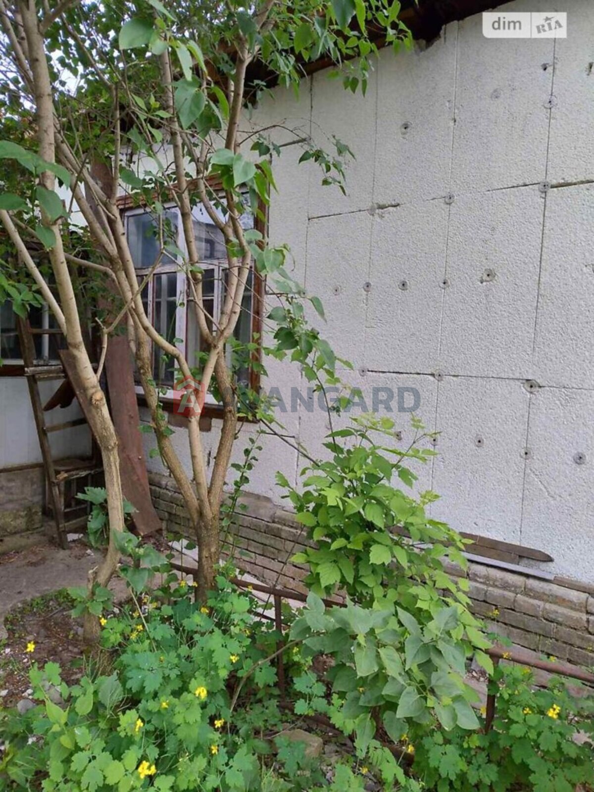 ������� �������, 45 ��.�. ���� 2