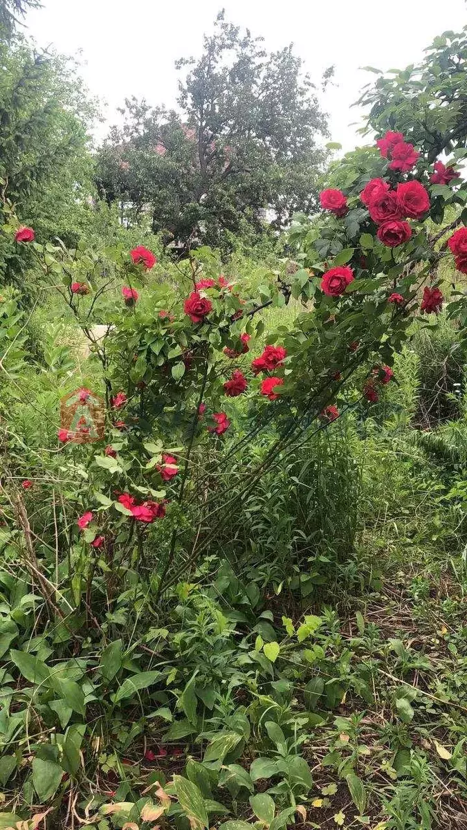 ����, 12 ��.�. ���� 3