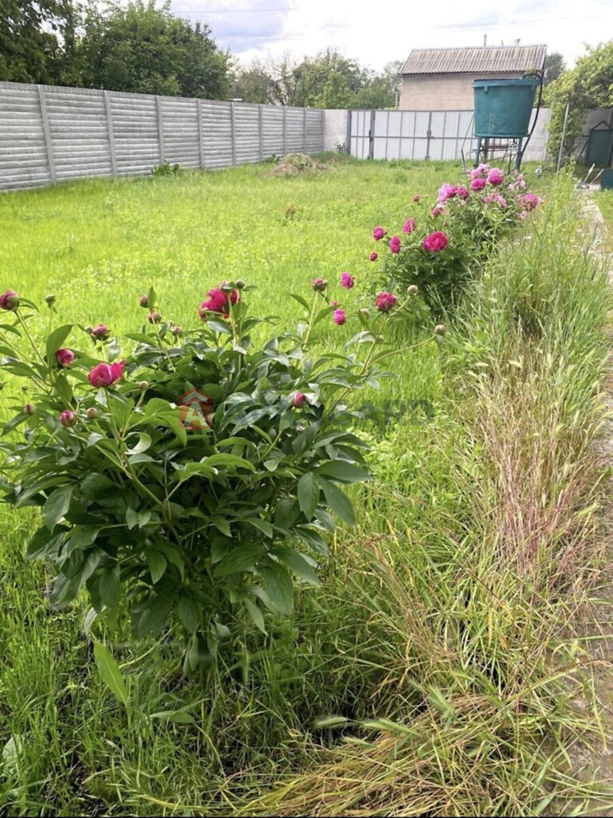 ����, 120 ��.�. ���� 4