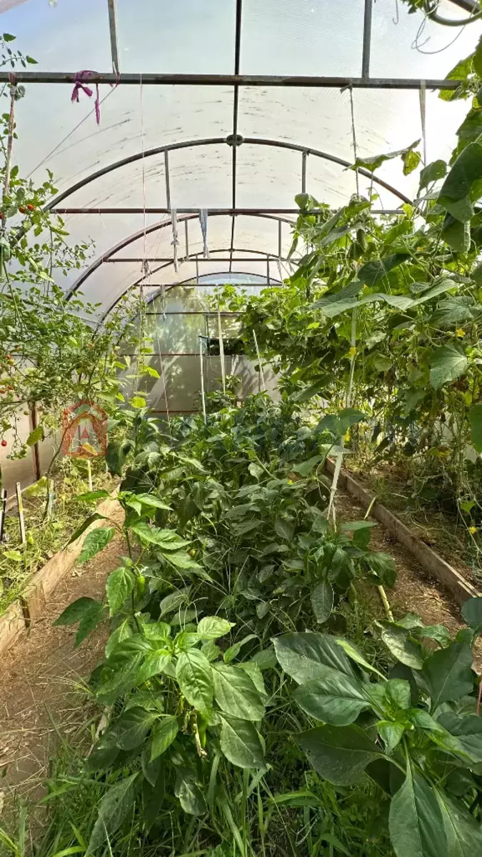 ����, 100 ��.�. ���� 12