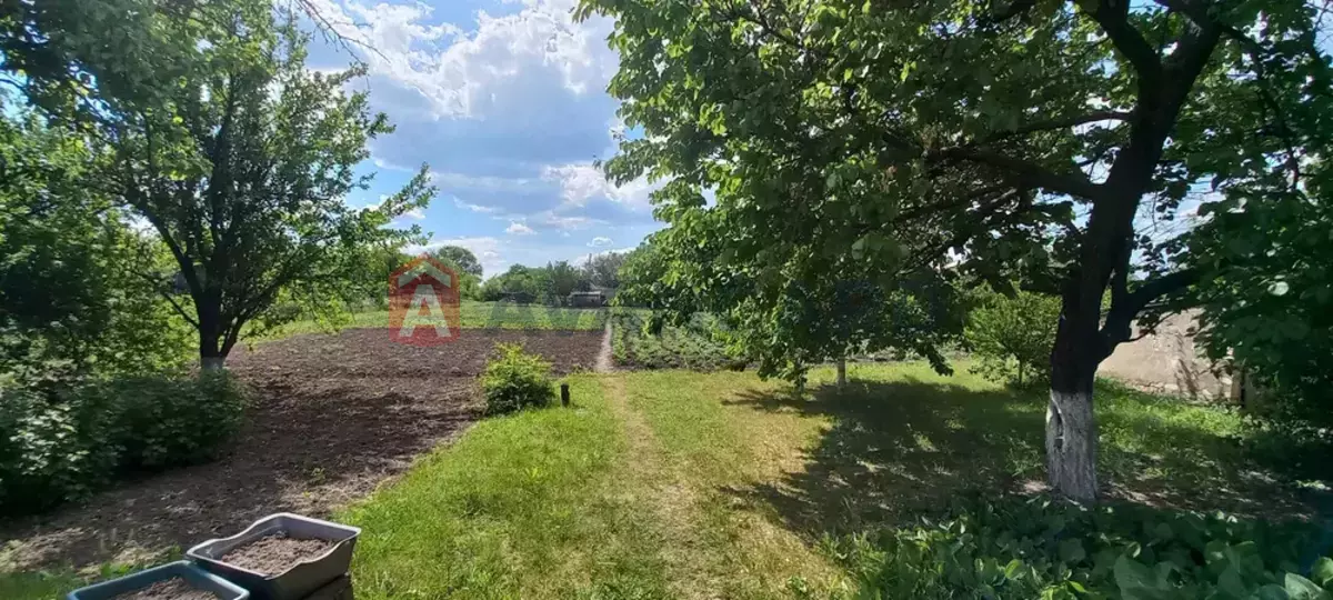 �������, 67 ��.�. ���� 1