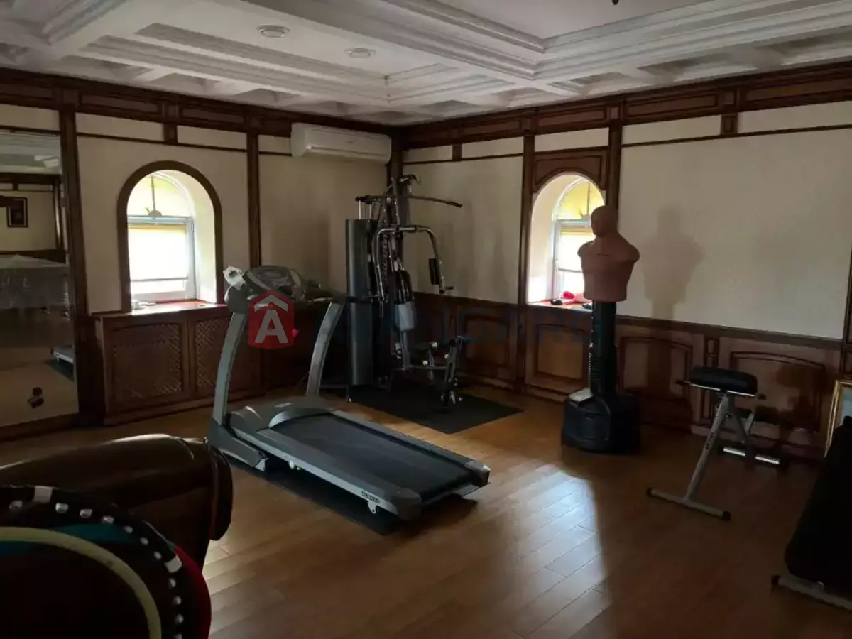 �������, 650 ��.�. ���� 11